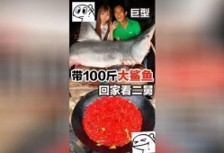 爆料网红吃鲨鱼视频大全,惊悚视频大盘点